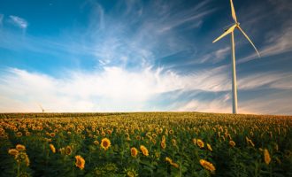 éolienne champs