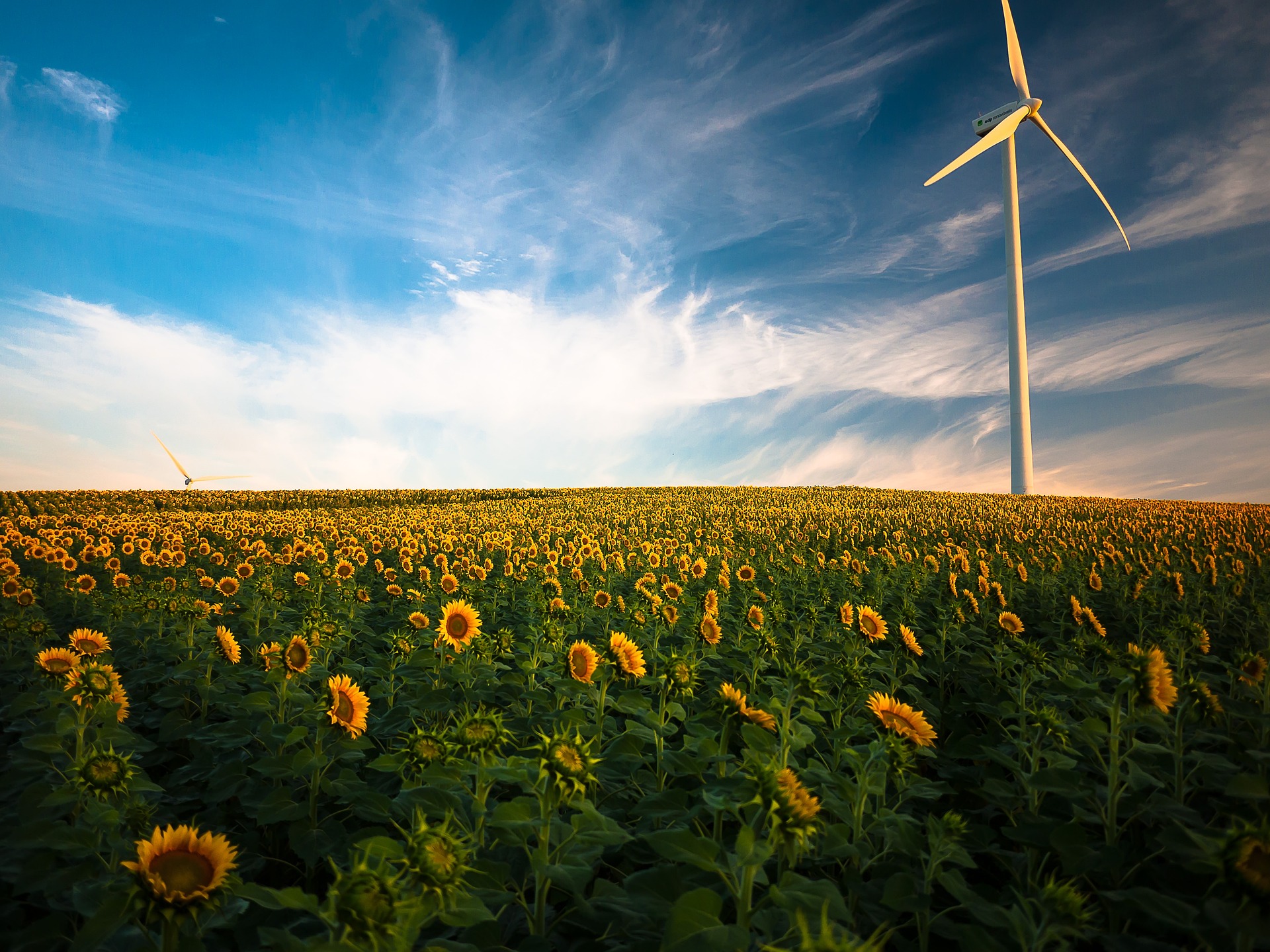 éolienne champs