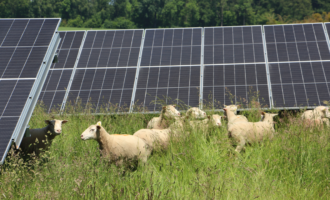 Agrivoltaïsme à Namur