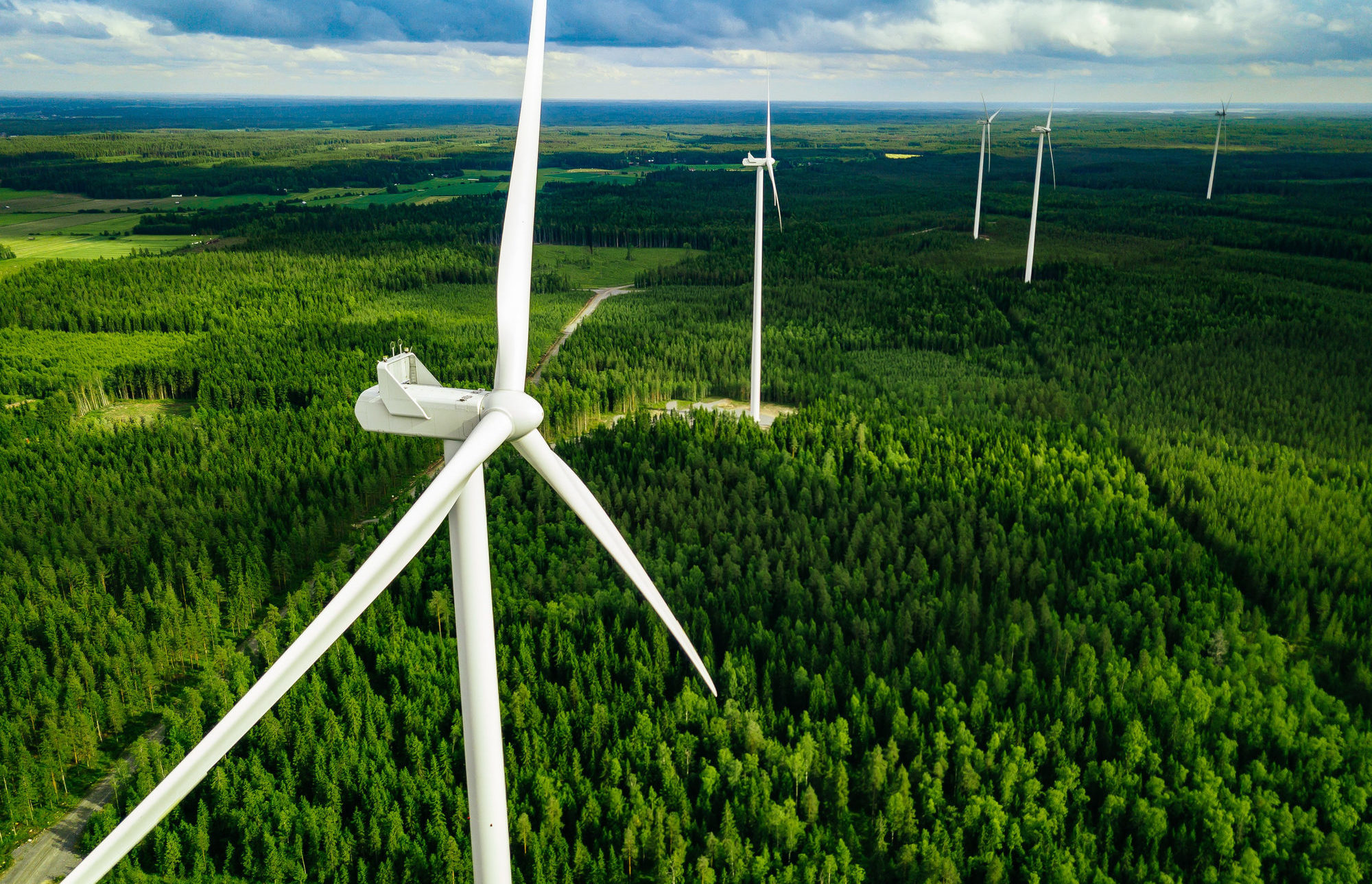 éoliennes en forêt