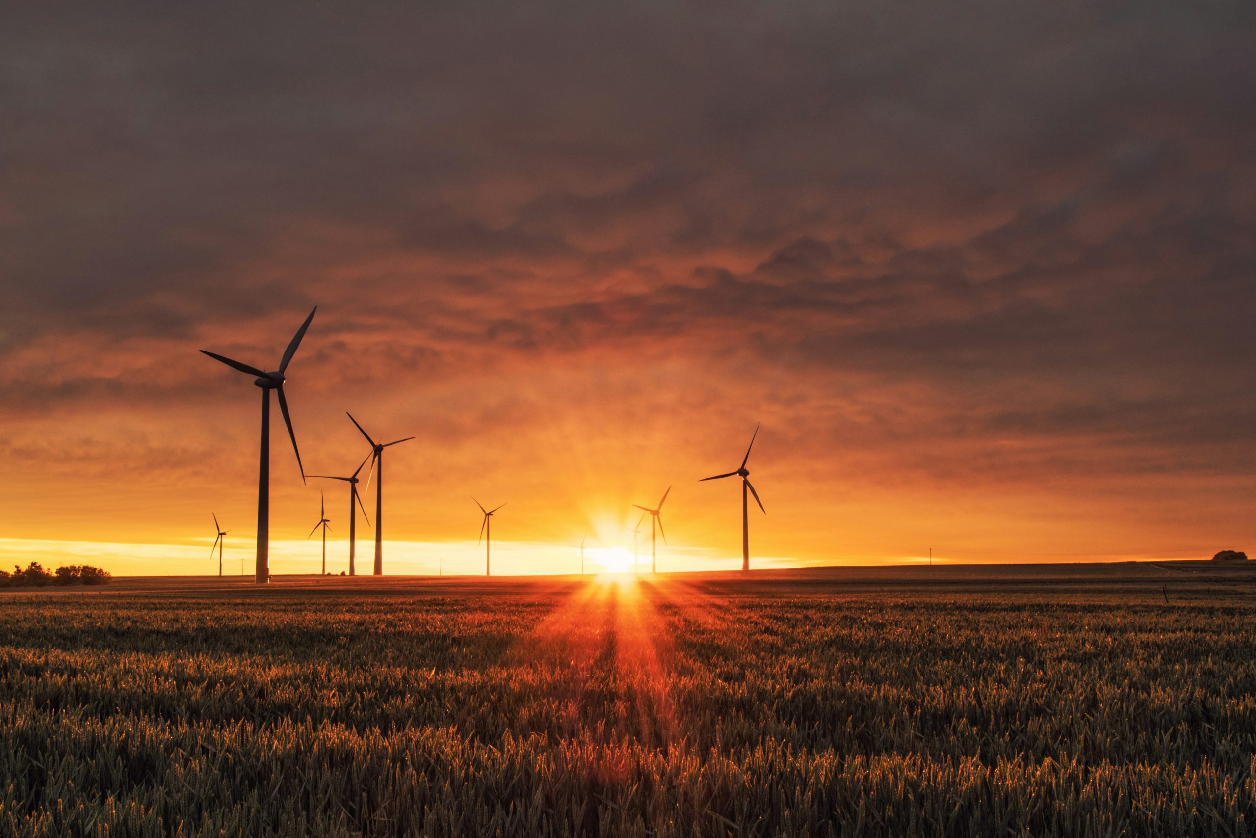 record Belgique énergie solaire et éolienne