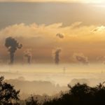 absorption de carbone