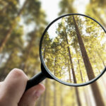 solutions dérèglement climatique