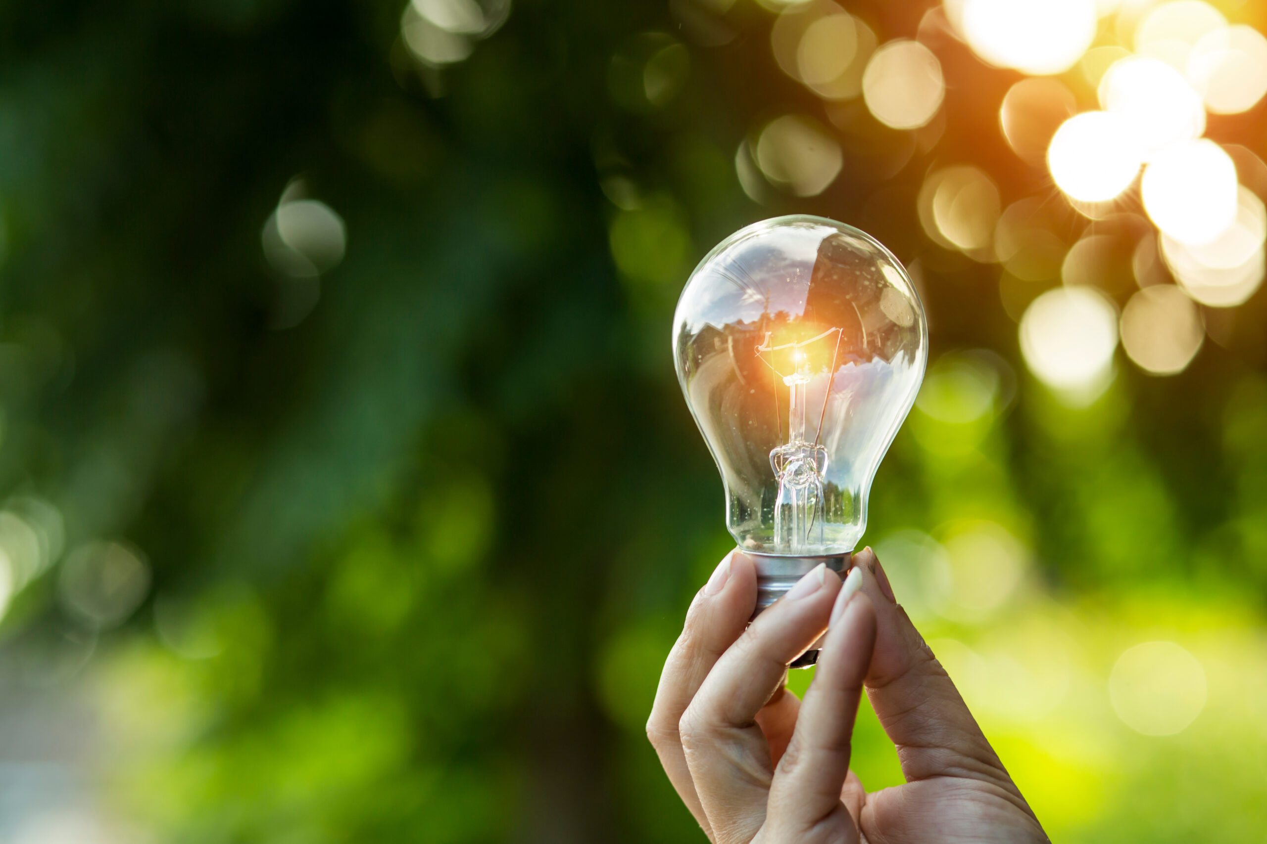 40% électricité bas carbone