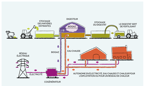 biométhanisation électricité