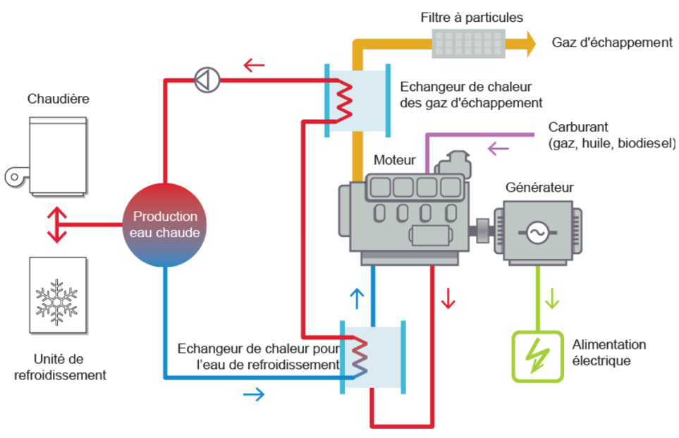biogaz réseau chaleur