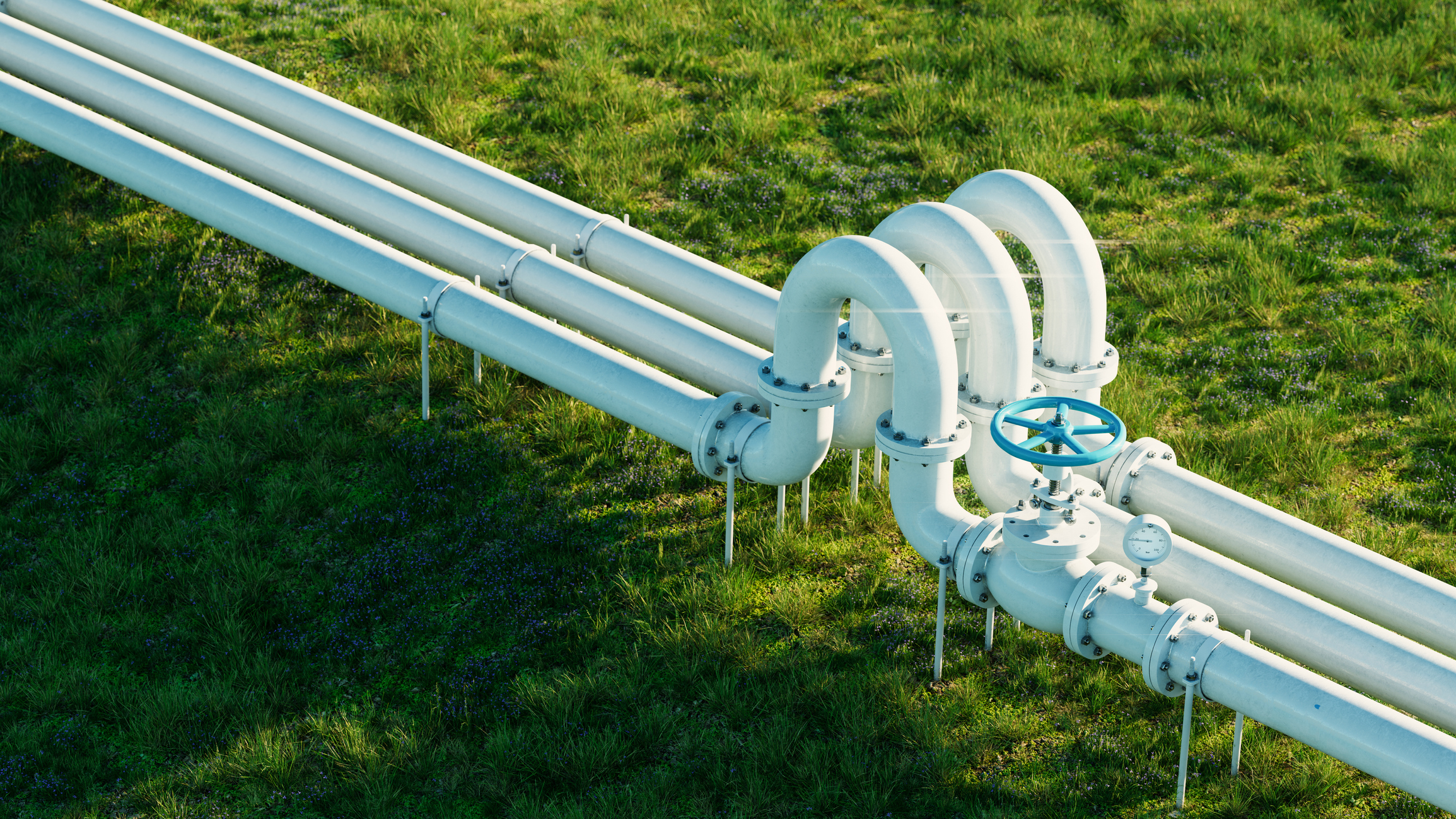 biométhane réseau Fluxys
