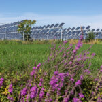 Gedinne parc solaire agrivoltaïque