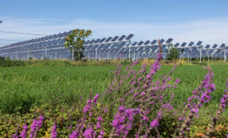 Gedinne parc solaire agrivoltaïque