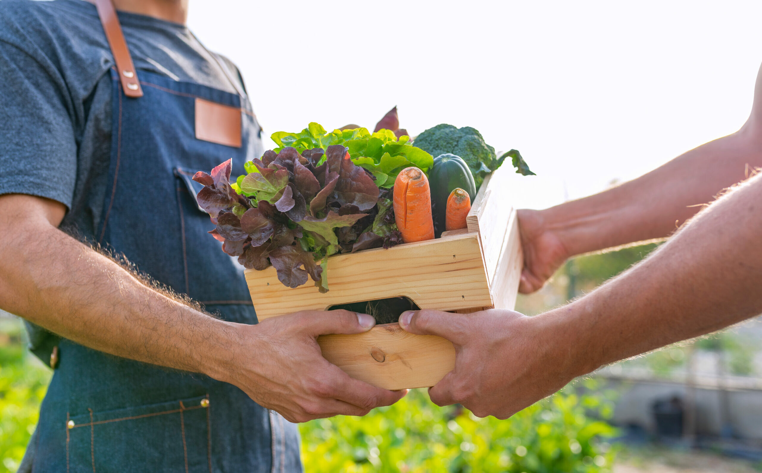 coopératives communautés d'énergie