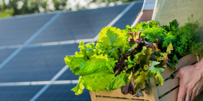 partage énergie agroalimentaire