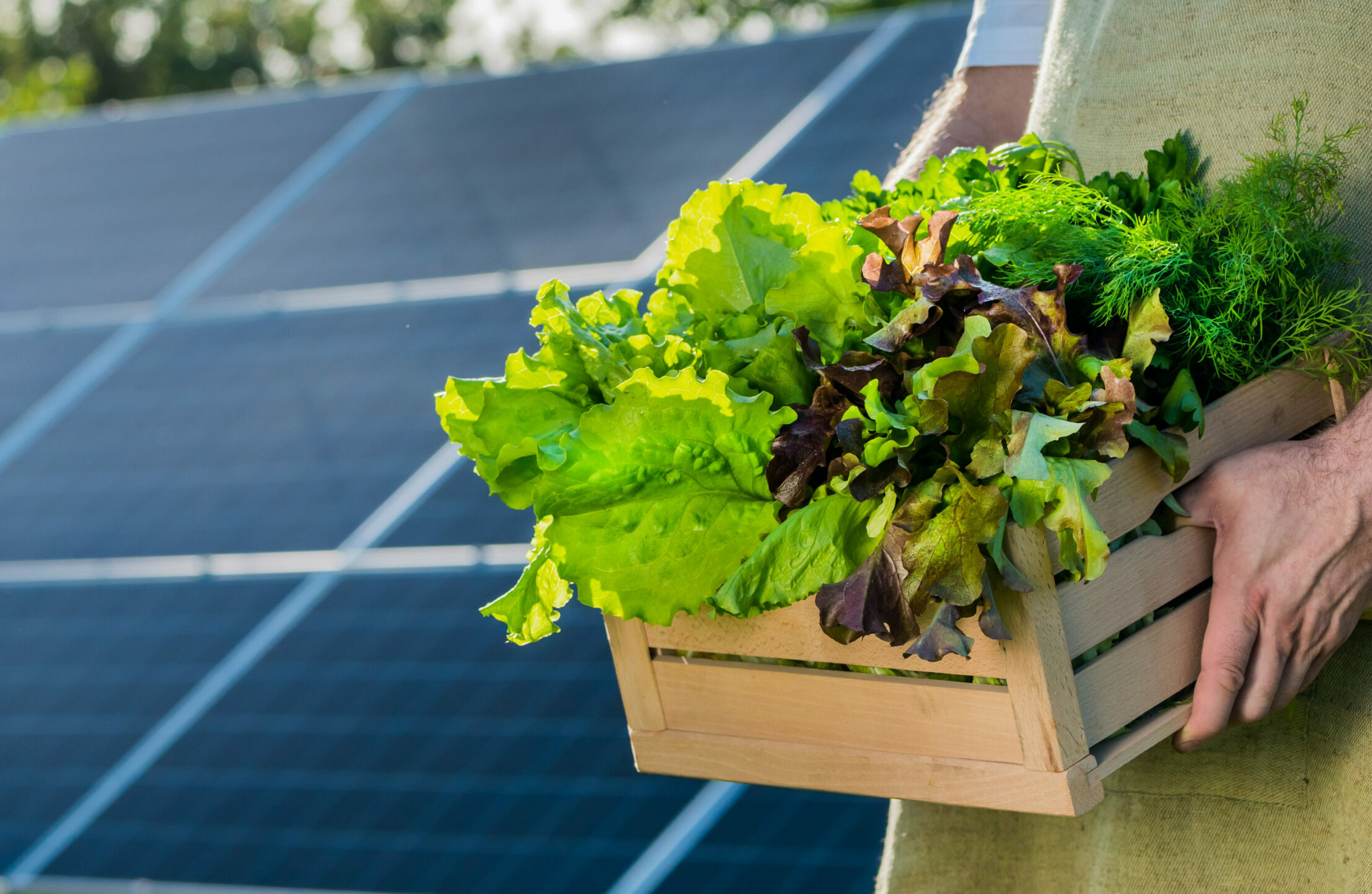 partage énergie agroalimentaire