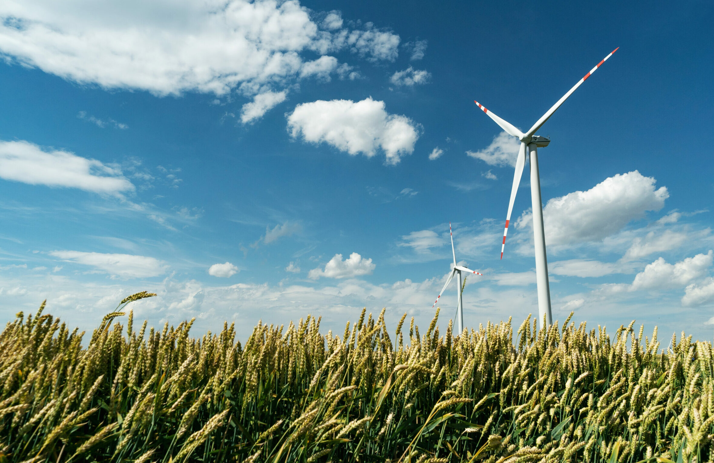 19 GW éolienne Europe 2025