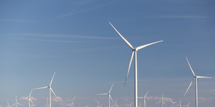 La participation citoyenne progresse pour le parc offshore de Northwind grâce à SeaCoop