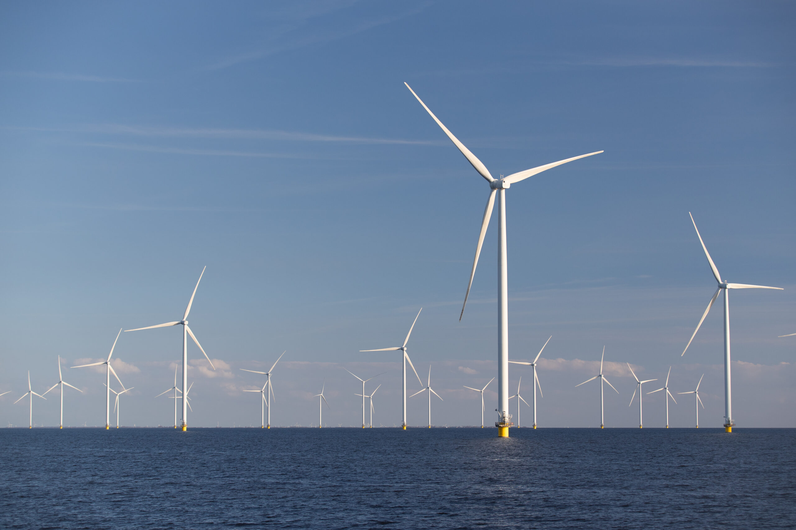 La participation citoyenne progresse pour le parc offshore de Northwind grâce à SeaCoop